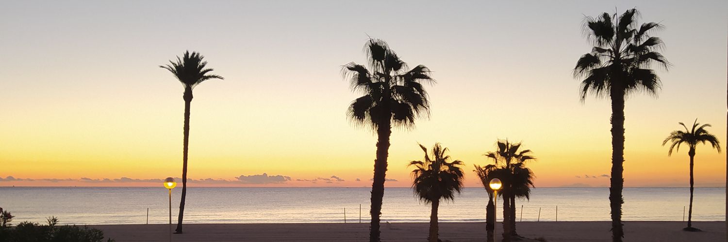 Manu González González banner