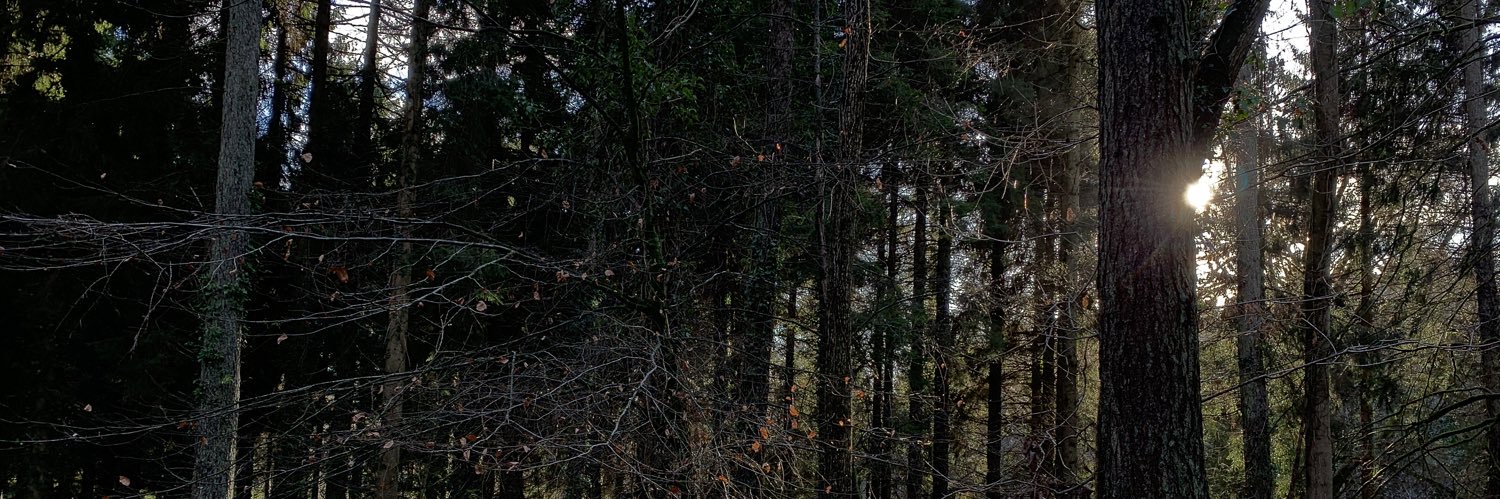 HeartbrokenVamp's profile banner image