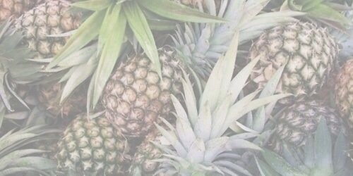 _lizxx's profile banner image