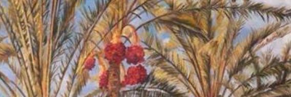 farsf807's profile banner image