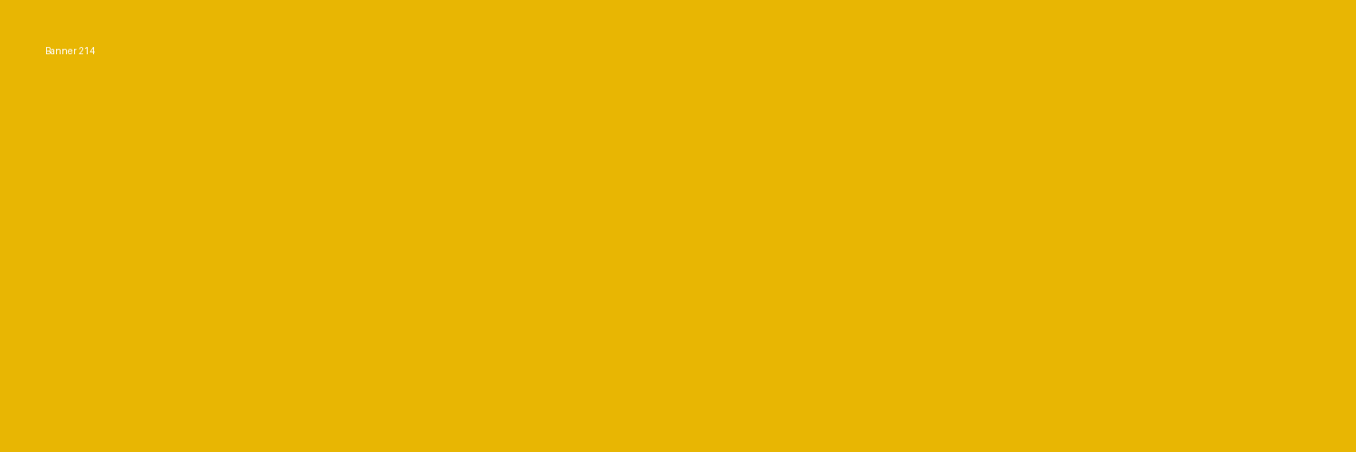 raiderlakerguy's profile banner image