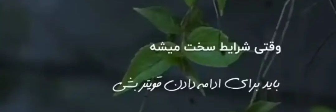 rasulasghari's profile banner image