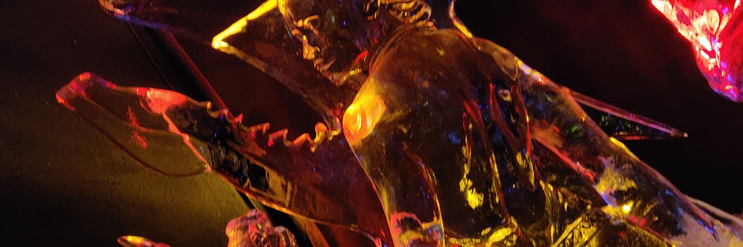 NielsdB002's profile banner image