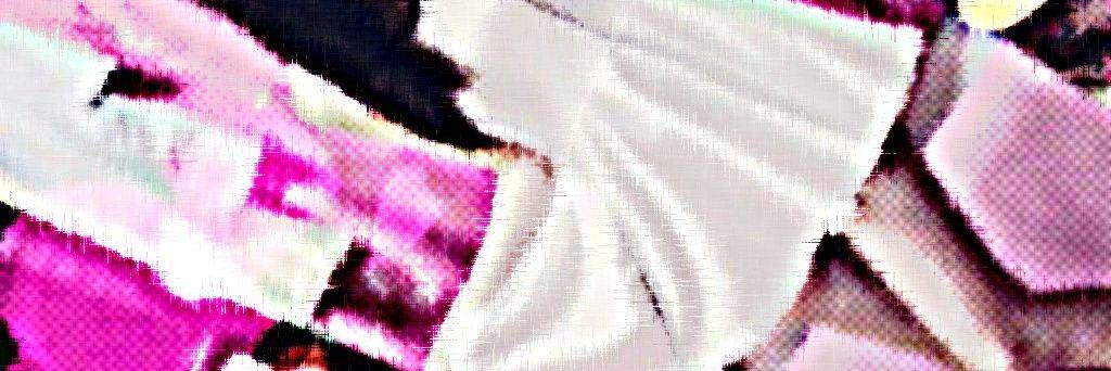 PaV_hy's profile banner image