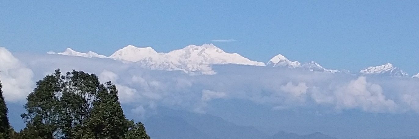 Amar Nath Singh banner