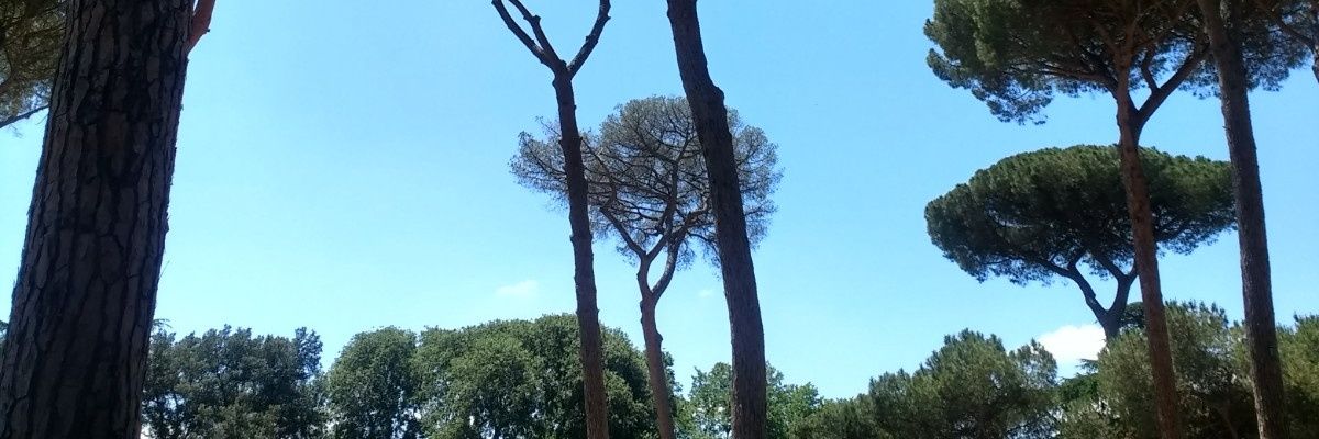 MManssouri's profile banner image