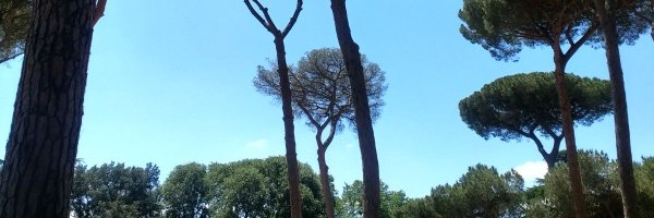 MManssouri Profile Banner