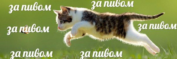 _alkoholy_'s profile banner image