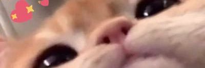 MillieAtlantis's profile banner image