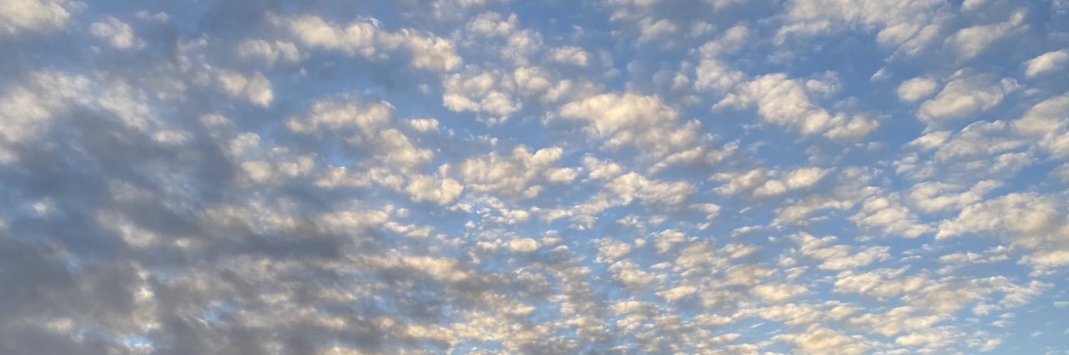 smaari's profile banner image