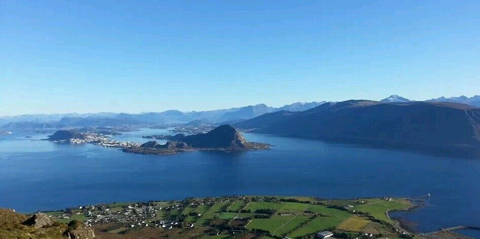 ampilskog's profile banner image