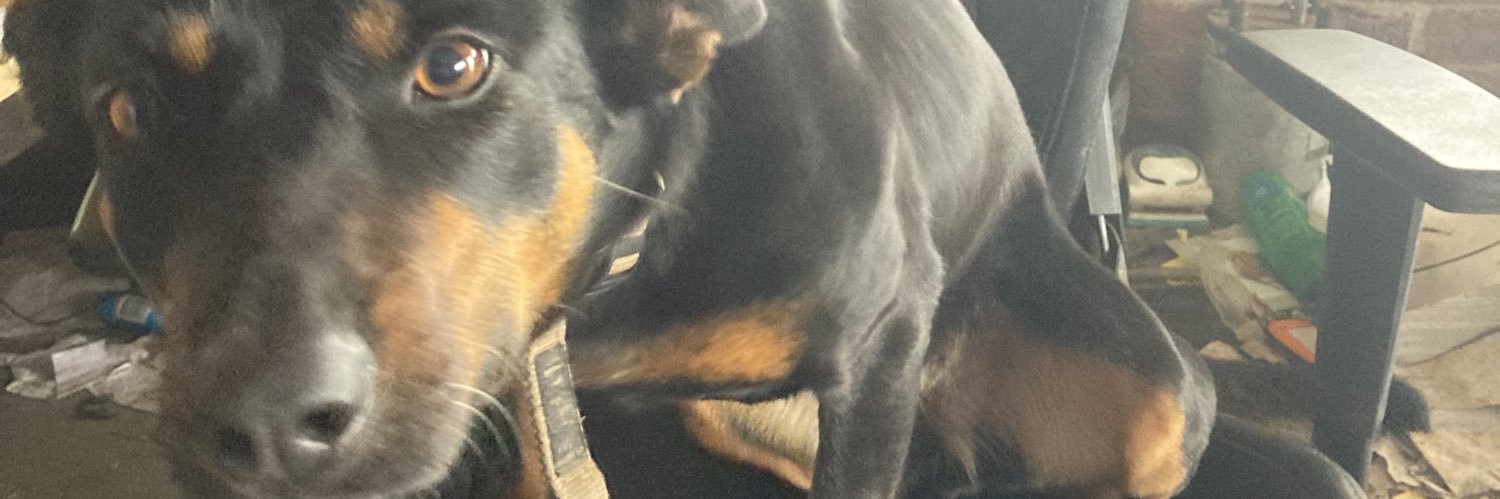 onlyheathhere's profile banner image