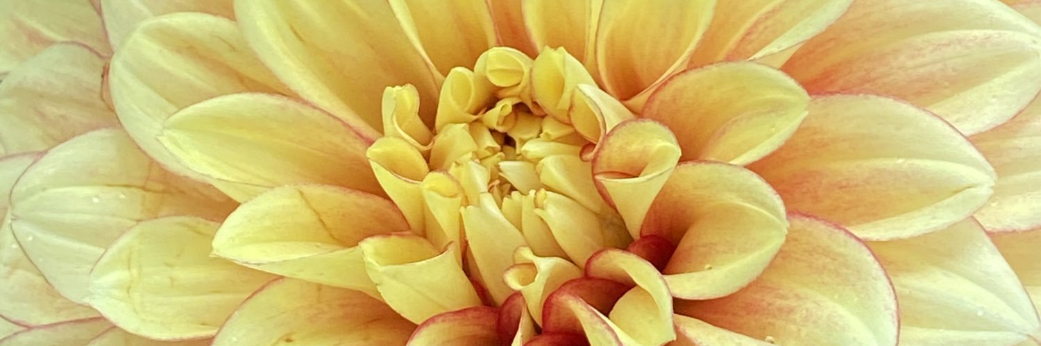 krisjmcbride's profile banner image