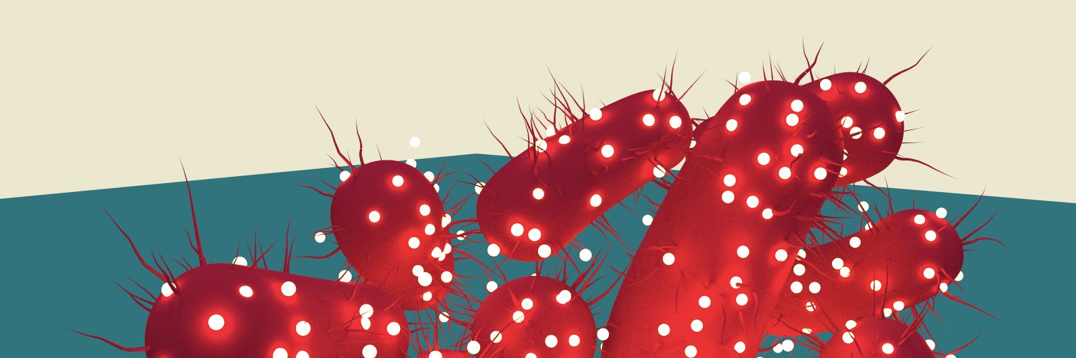 gaofengni's profile banner image