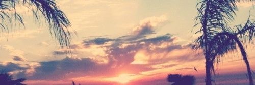 this_is_effie's profile banner image