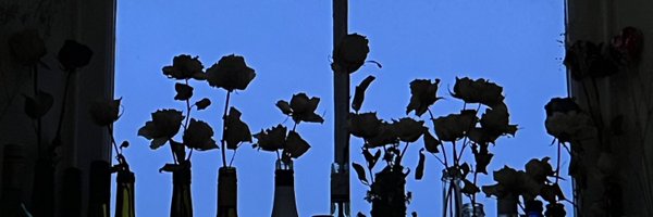 ZhuoniX Profile Banner