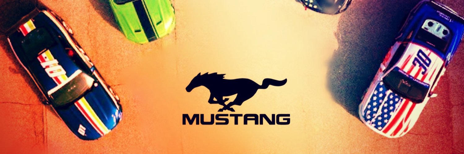 LynxInternation's profile banner image