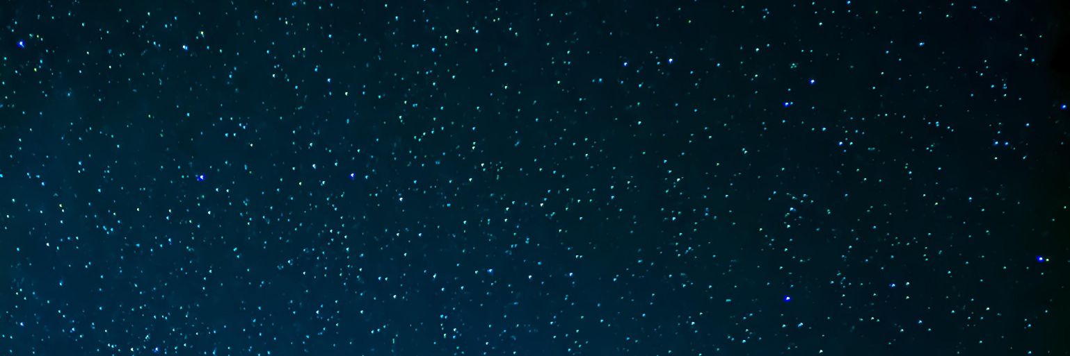 PRECHSIE🧸 BUDOL BNS ACC 💅🏻✨ banner