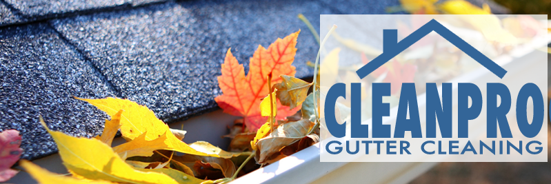 CleanProGutters's profile banner image