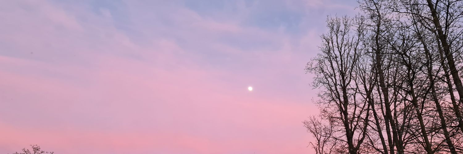 baka_val's profile banner image