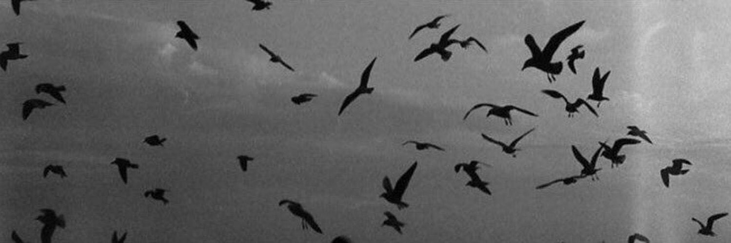 _iiAMa's profile banner image
