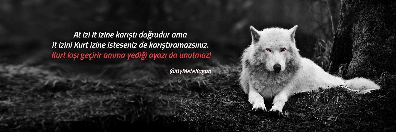 ByMeteKagan's profile banner image