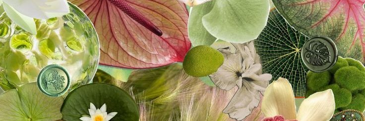 CALISTA. banner