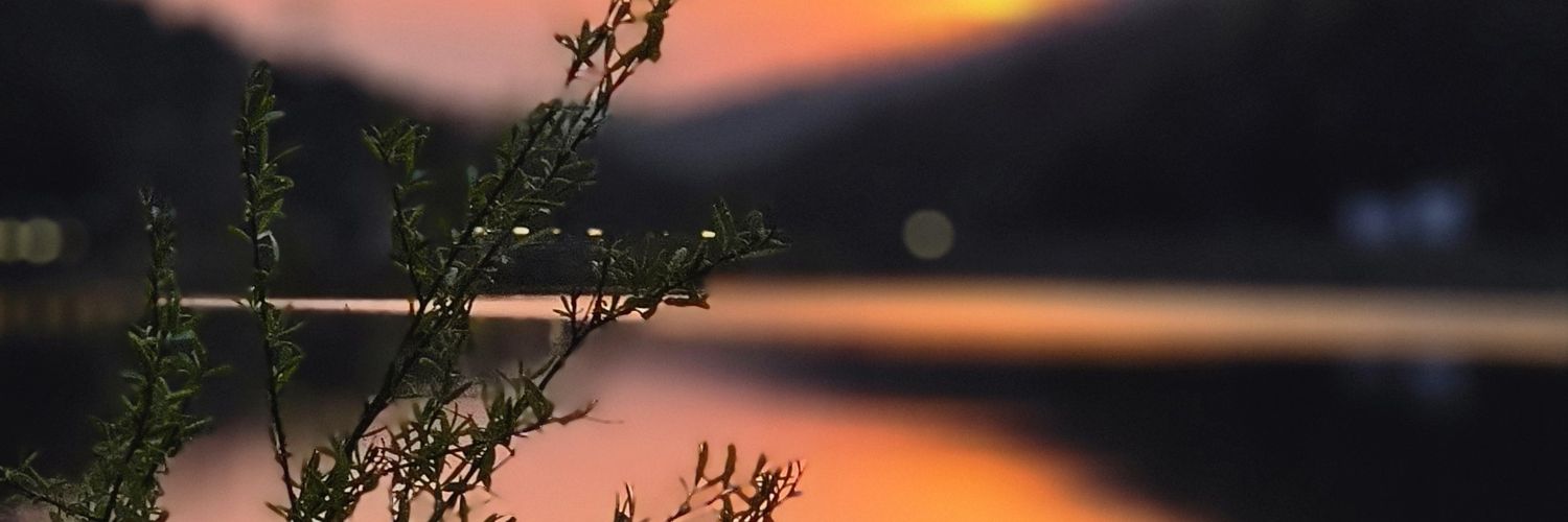 ericghlee65's profile banner image