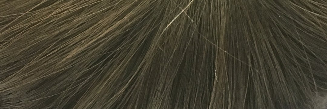 tomoFr0202's profile banner image