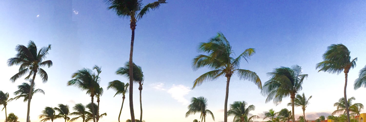 jamiebrunoo's profile banner image
