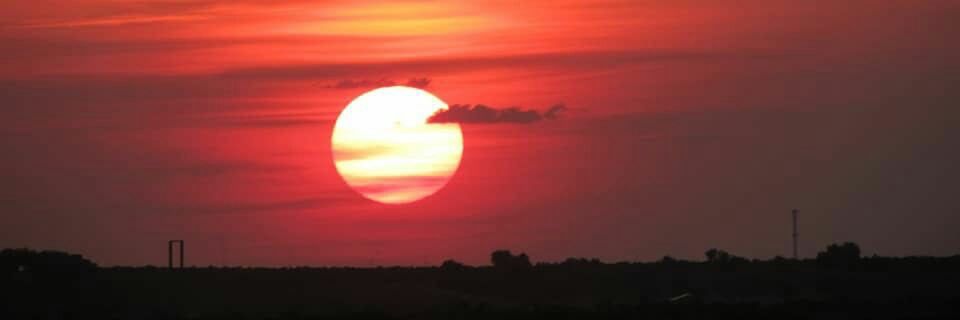 David Toledo 🔻 ❤️🤍❤️ banner