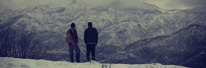BertalDemir's profile banner image