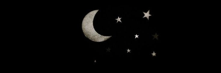 vividscent's profile banner image
