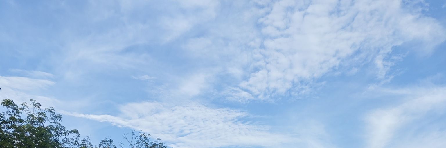 IceCool03's profile banner image