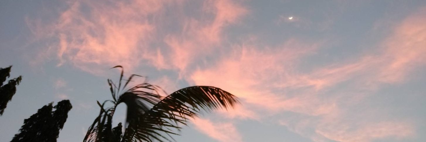 anonannisa's profile banner image