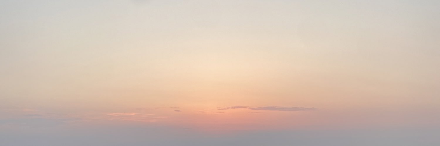plsvw's profile banner image
