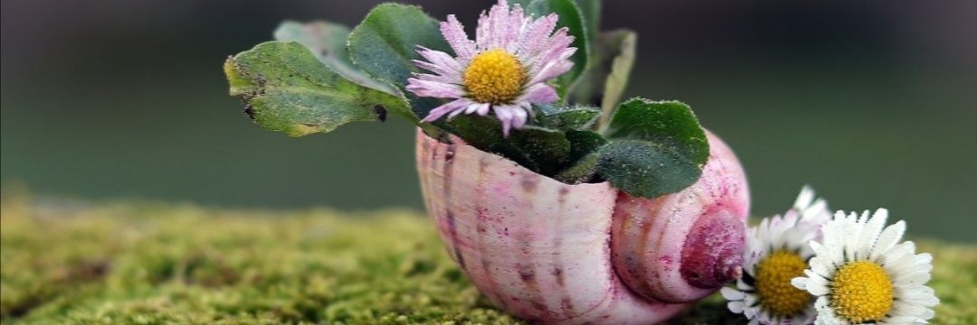 fhuouop's profile banner image