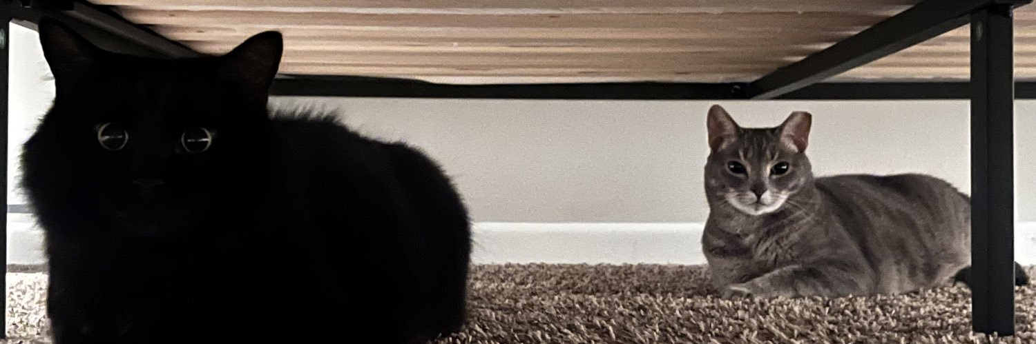 repnotic's profile banner image