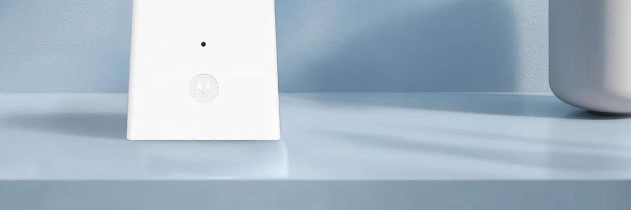 Steve Cistulli banner