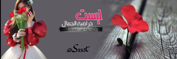 S553t Profile Banner