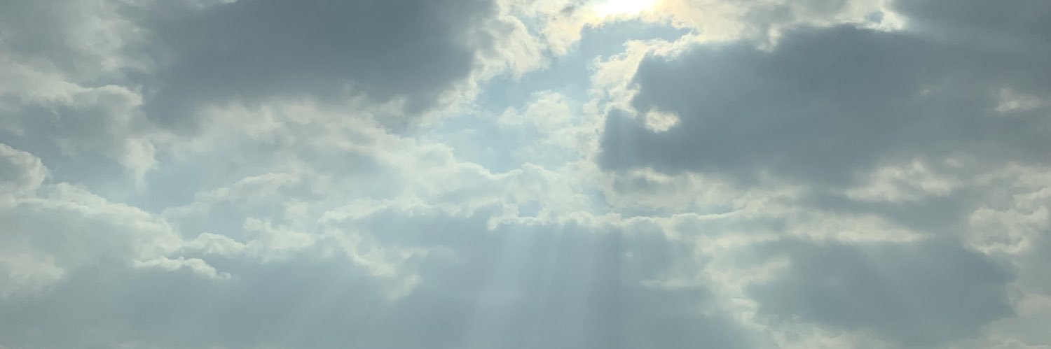 laurynnmae's profile banner image