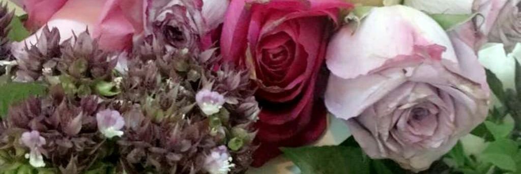 saly0022's profile banner image
