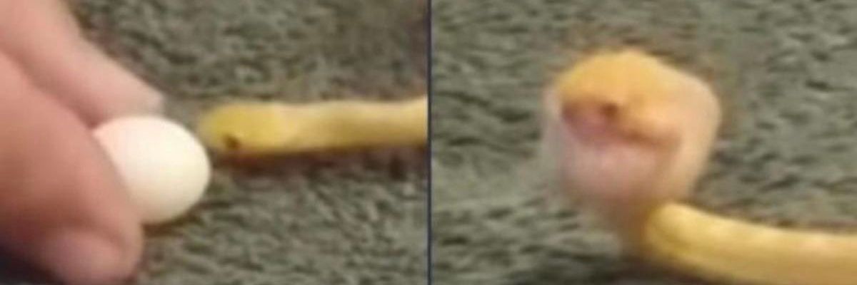 ColeraEric's profile banner image
