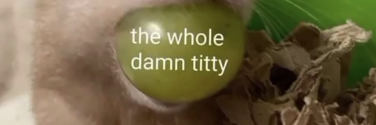 TimGoHard's profile banner image