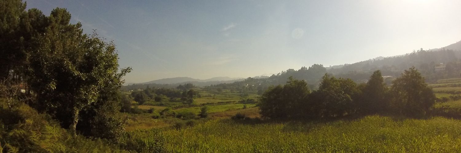 aLy Páez banner