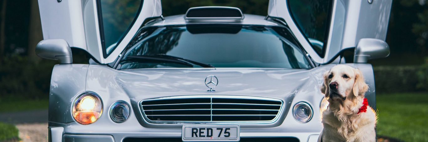adrienprevost38's profile banner image