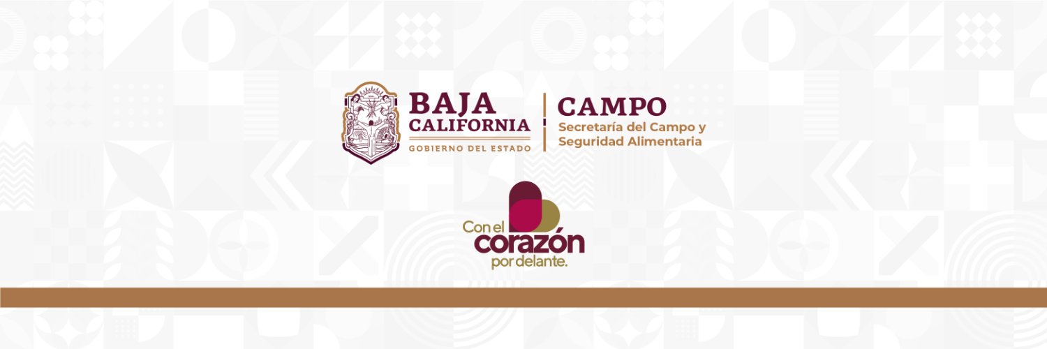 BC_SCSA's profile banner image