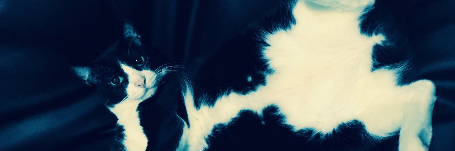 ちゃんごつ banner