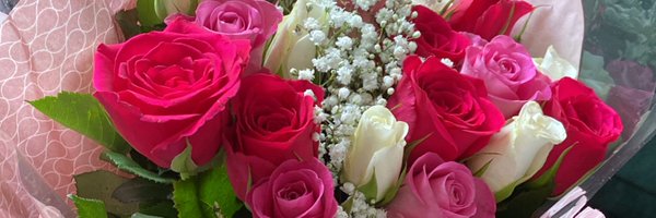 Eva_Burke1 Profile Banner