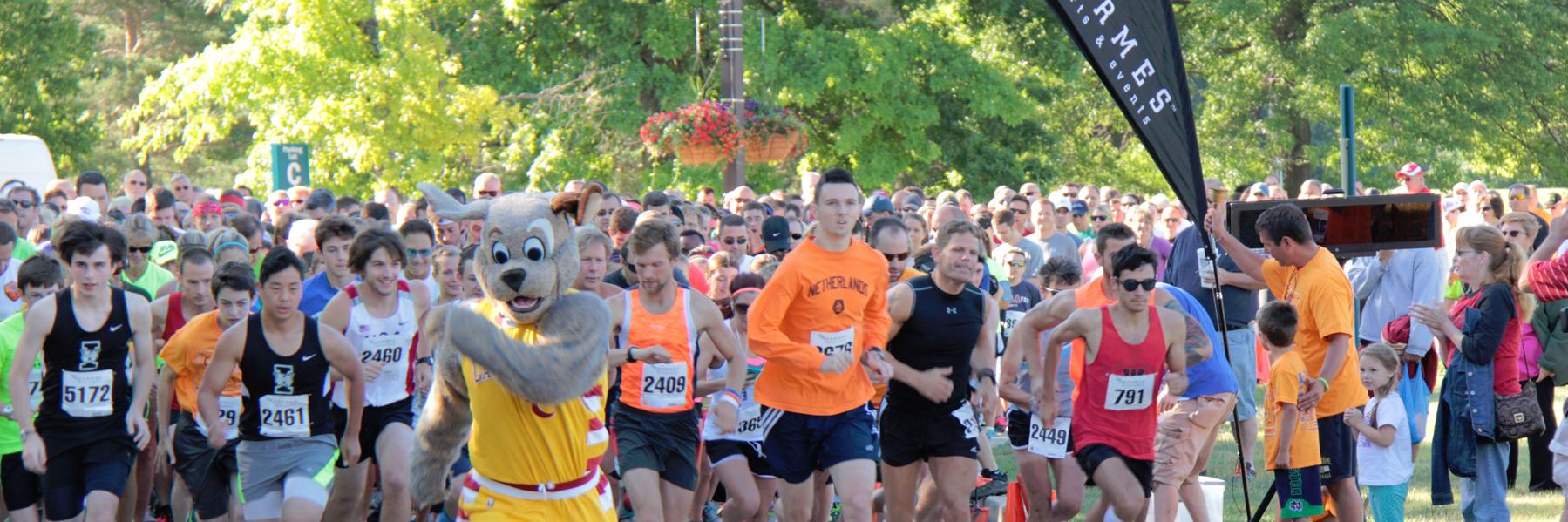 Pierogie 5k banner